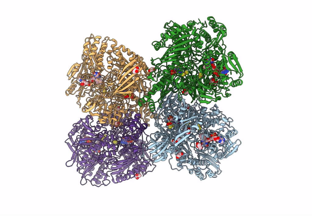 7PX0 image