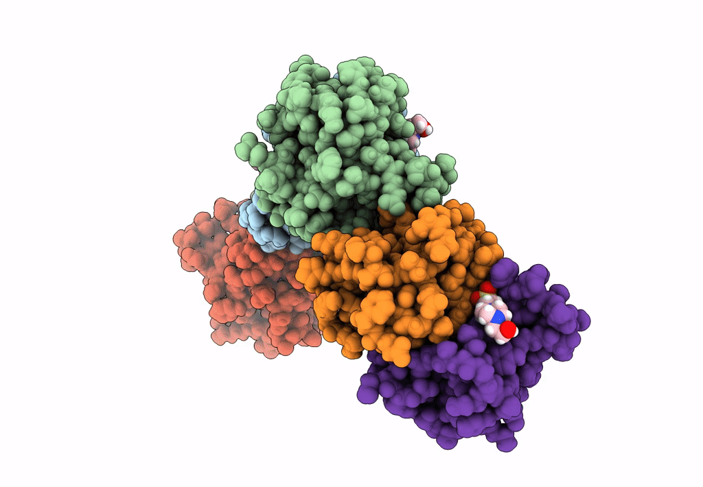 7PX2 image