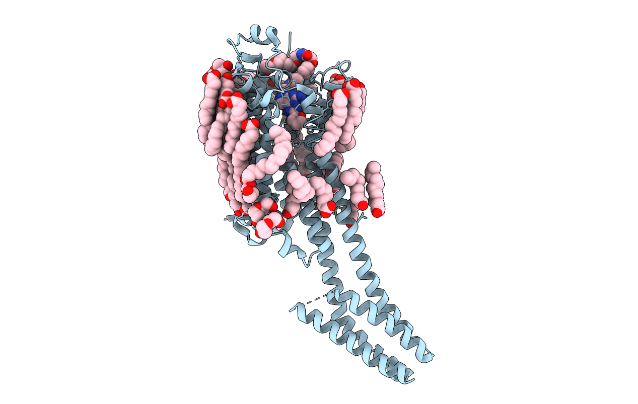 7PX4 image