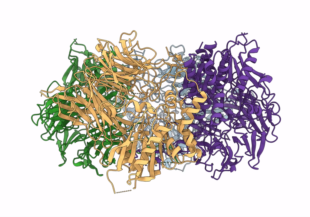 7px8 image