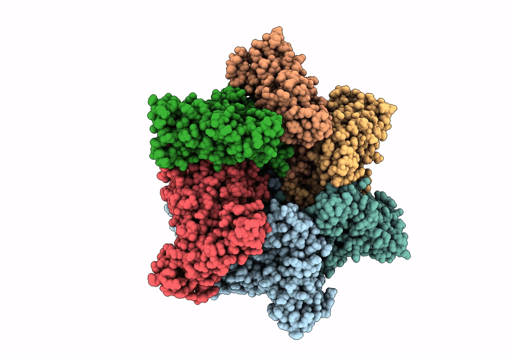 7PX9 image