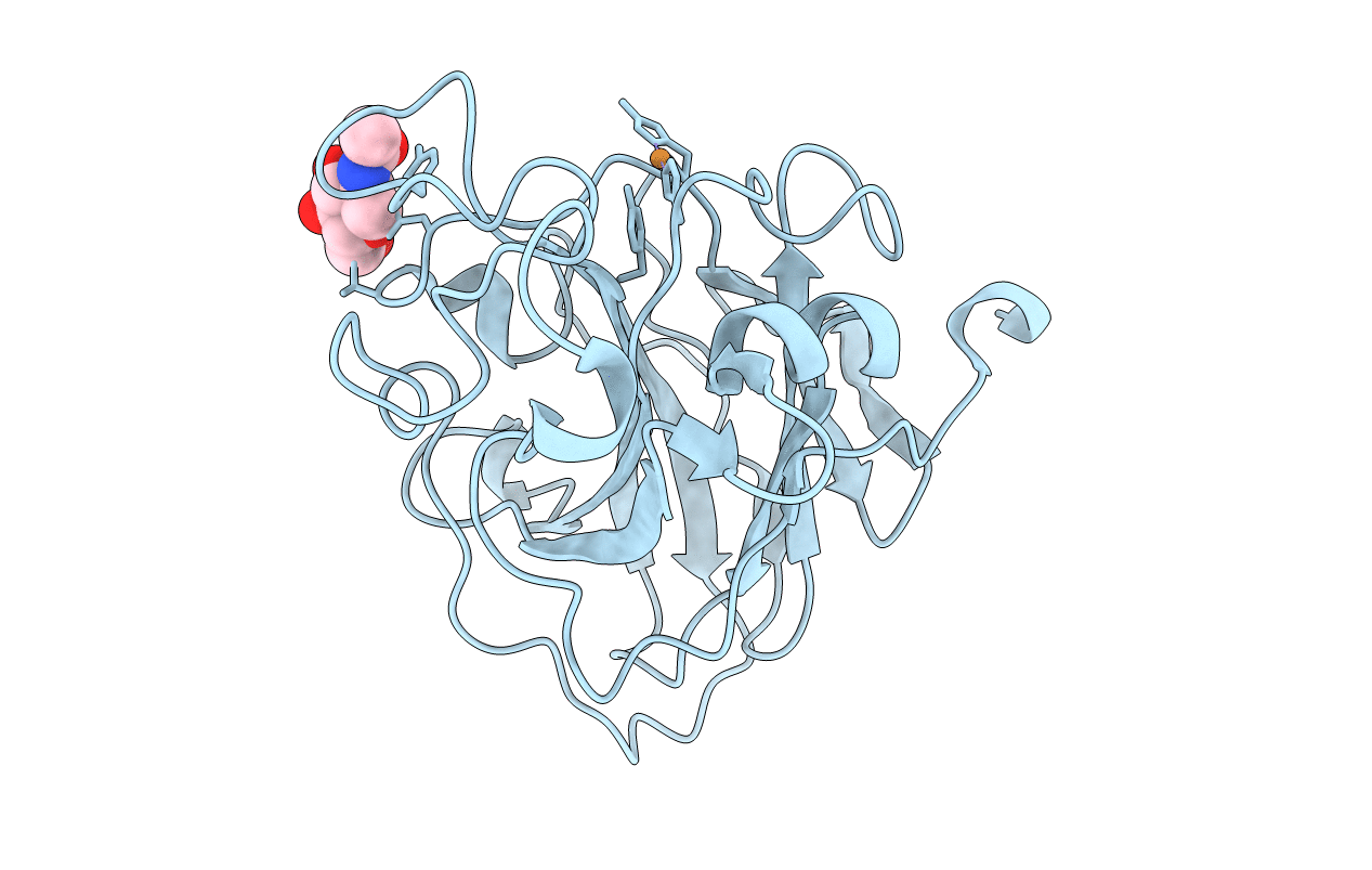 7PXK image