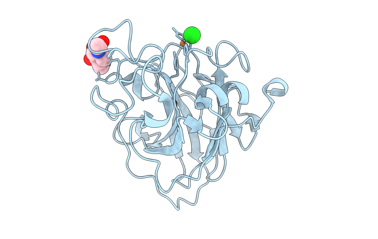 7PXR image