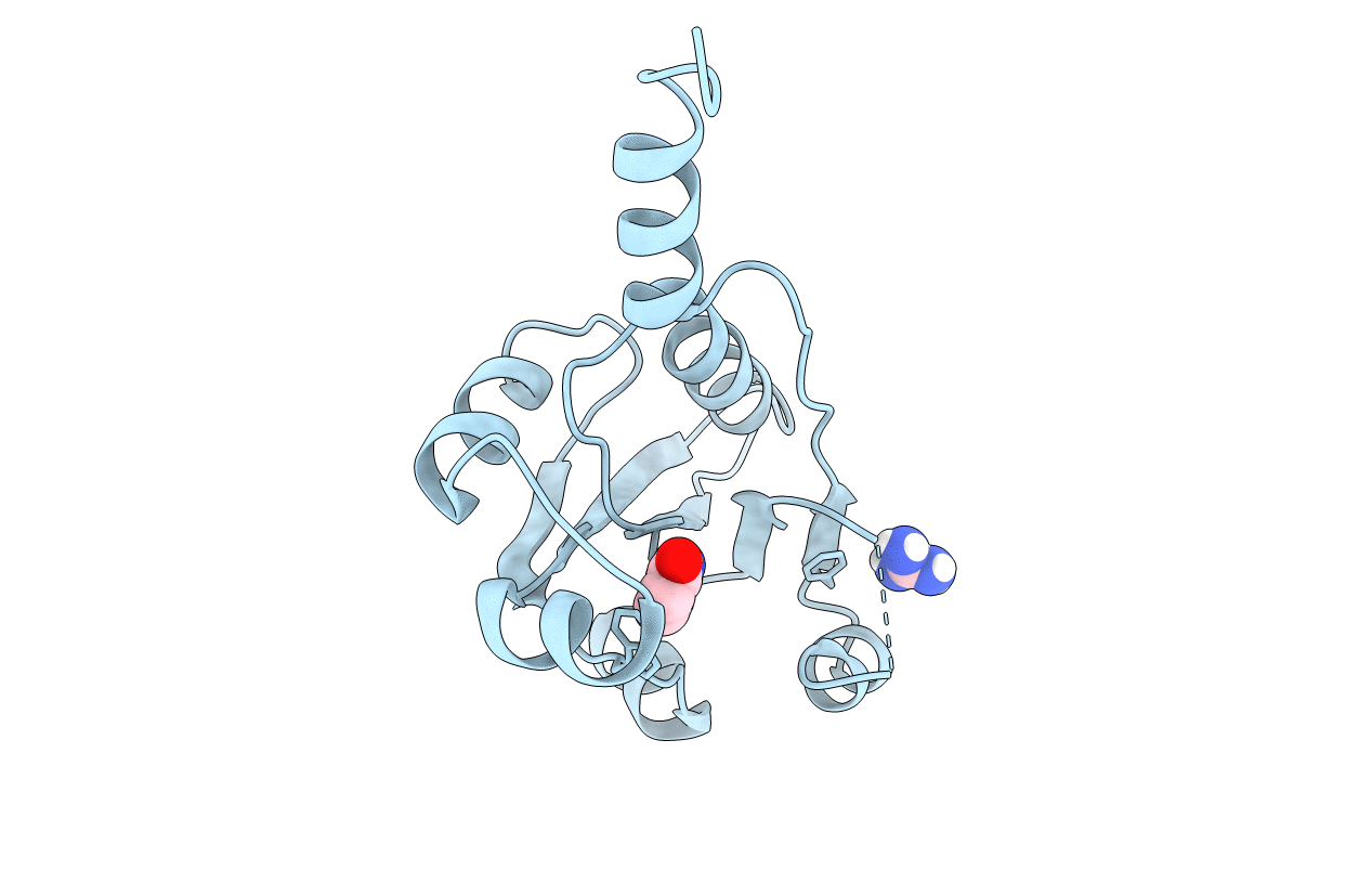 7PYB image