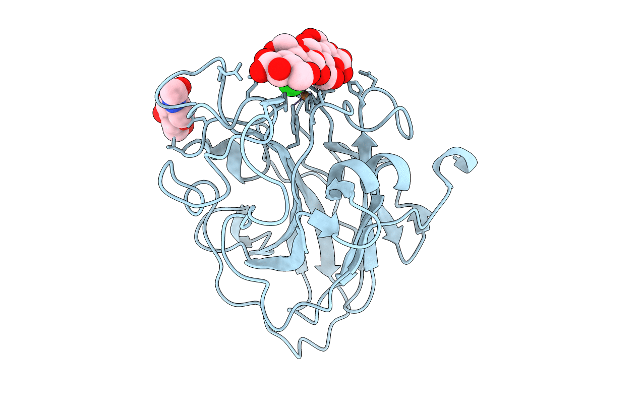 7PYE image