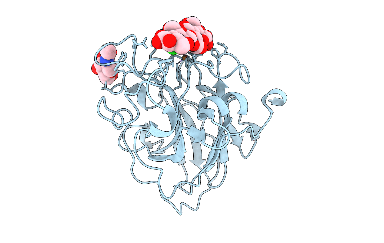 7PYG image