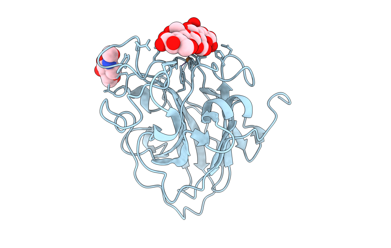 7PYH image