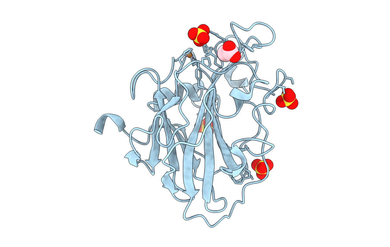 7PYL image