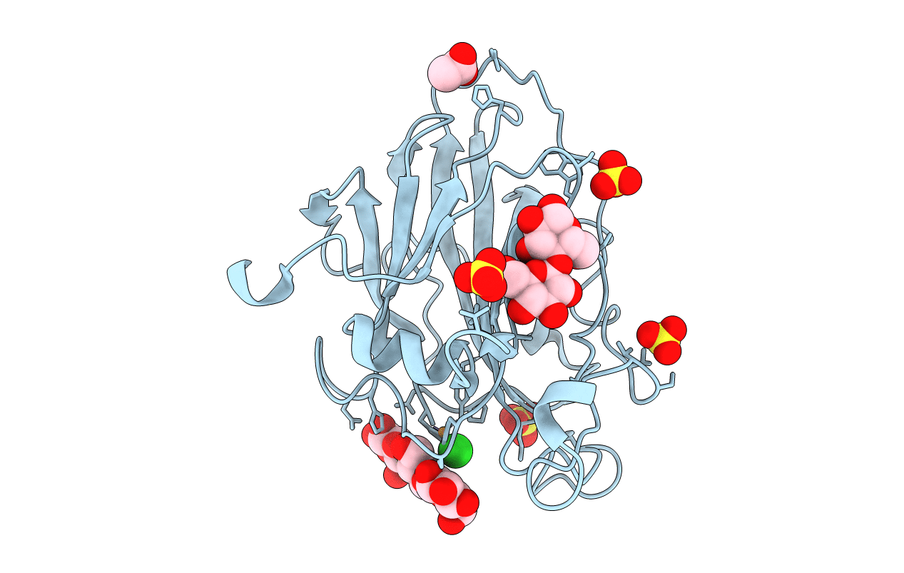 7PYU image