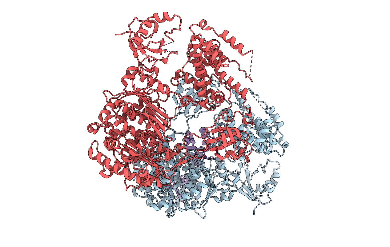 7PYV image