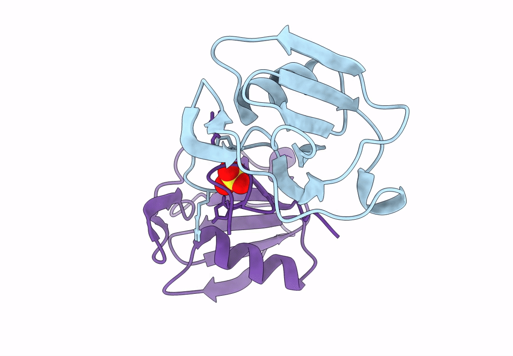 7PZ2 image
