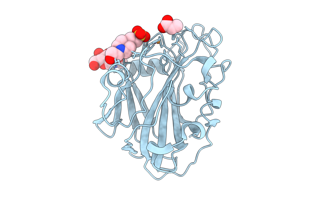 7PZ6 image