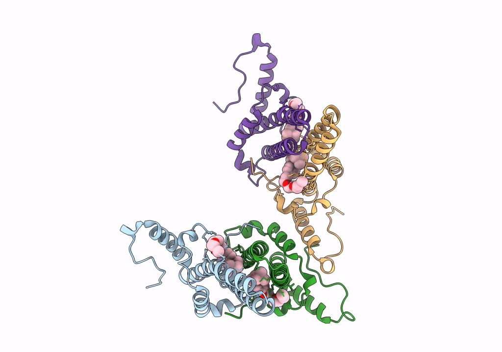 7PZI image