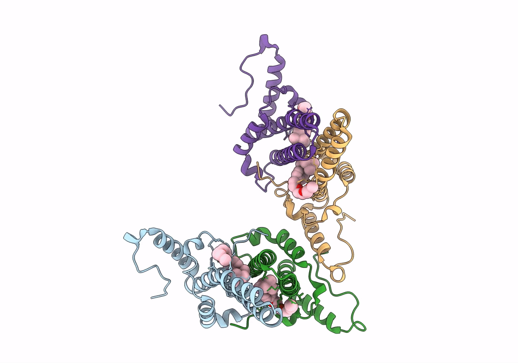 7PZM image
