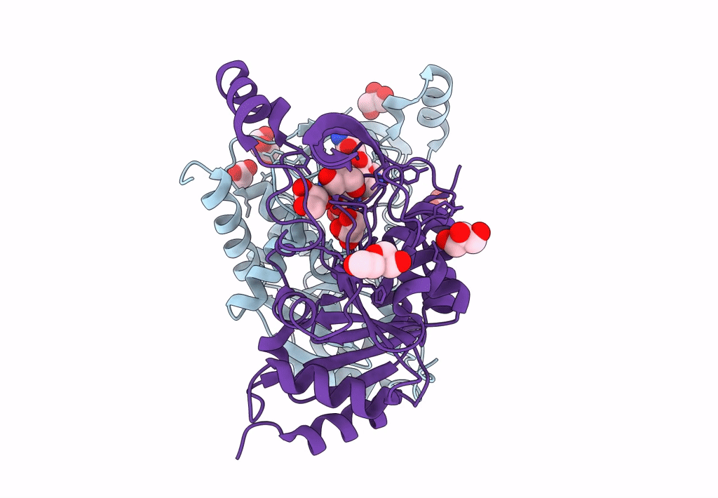 7q10 image