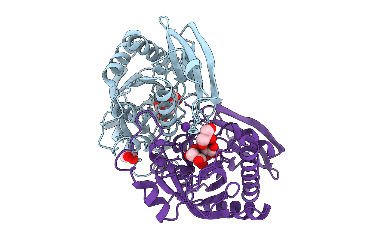7Q1I image