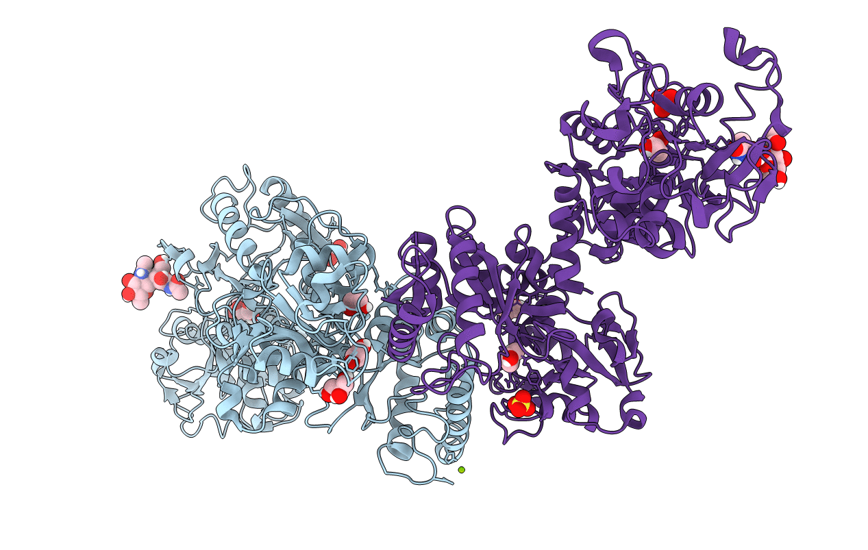 7Q1L image
