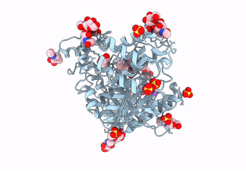 7Q1O image