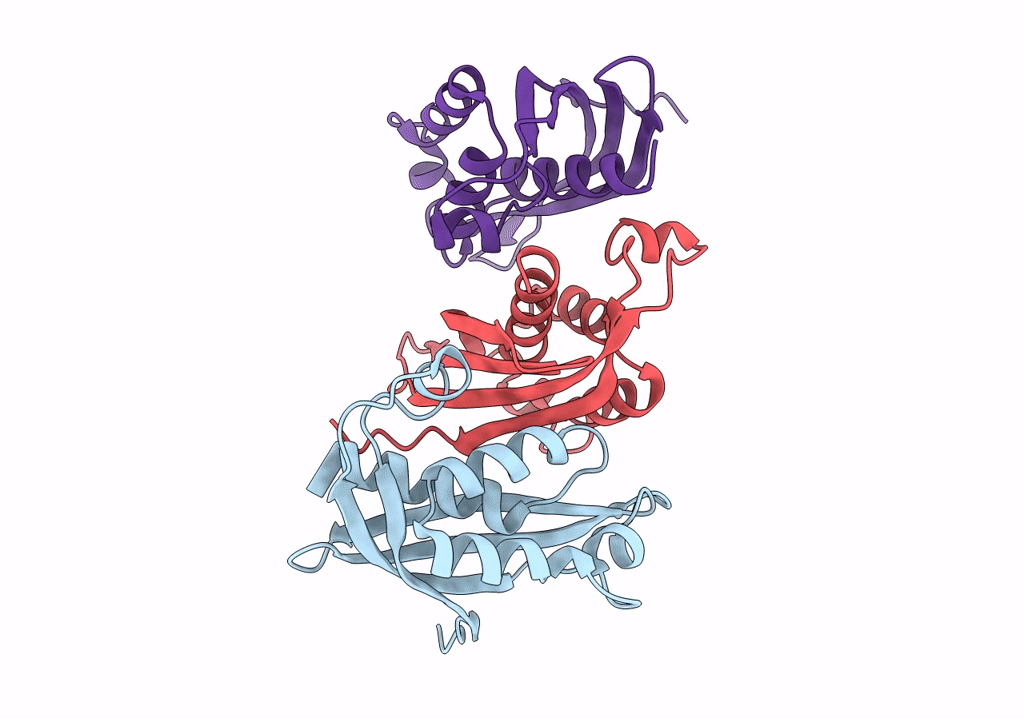 7Q1V image