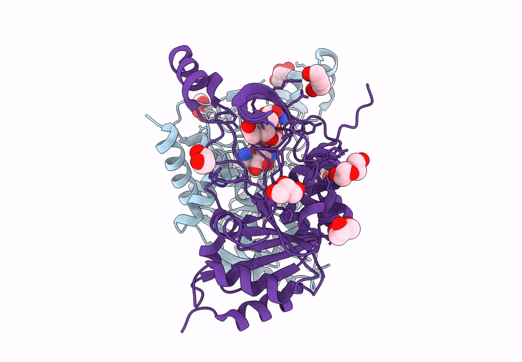 7Q1X image