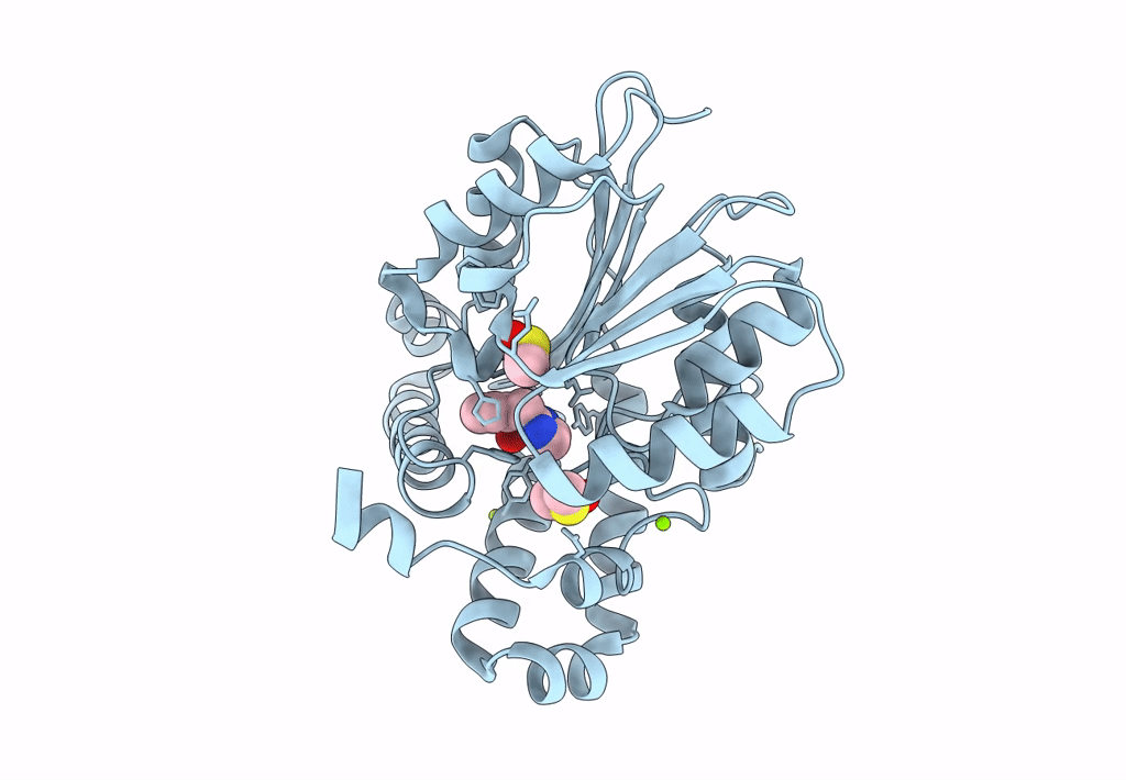 7Q2B image