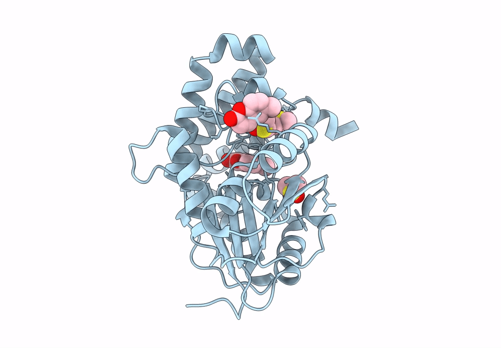 7Q2C image
