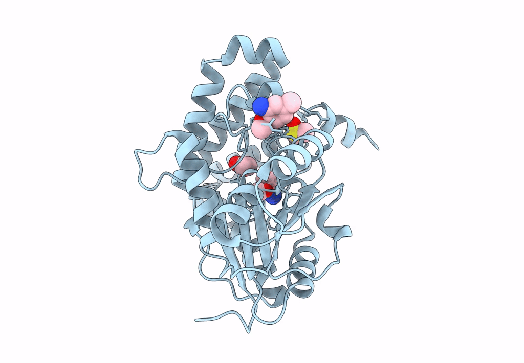 7Q2D image