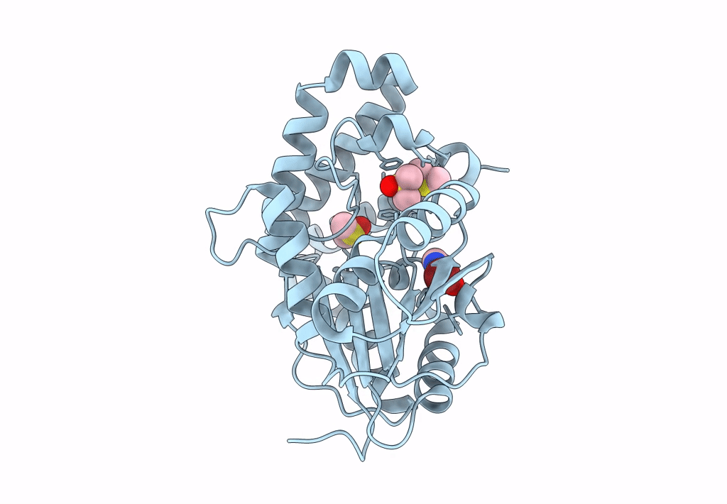 7Q2E image