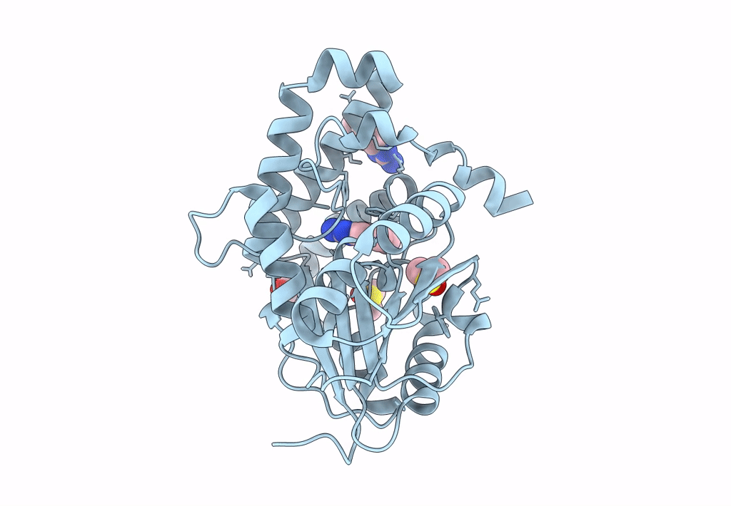 7Q2F image