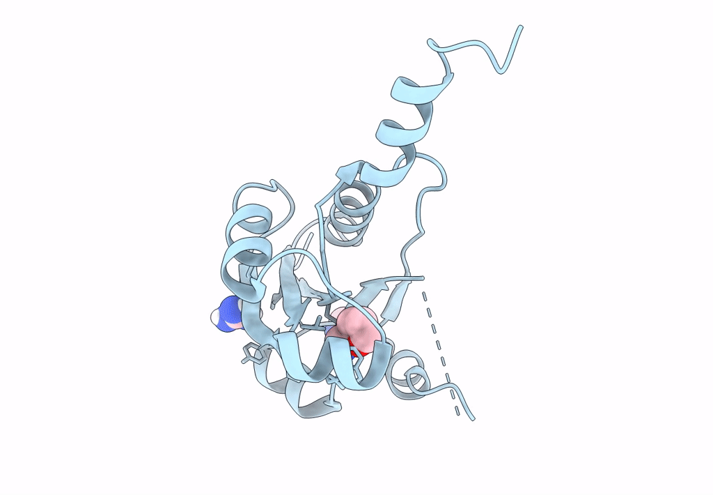 7Q2I image