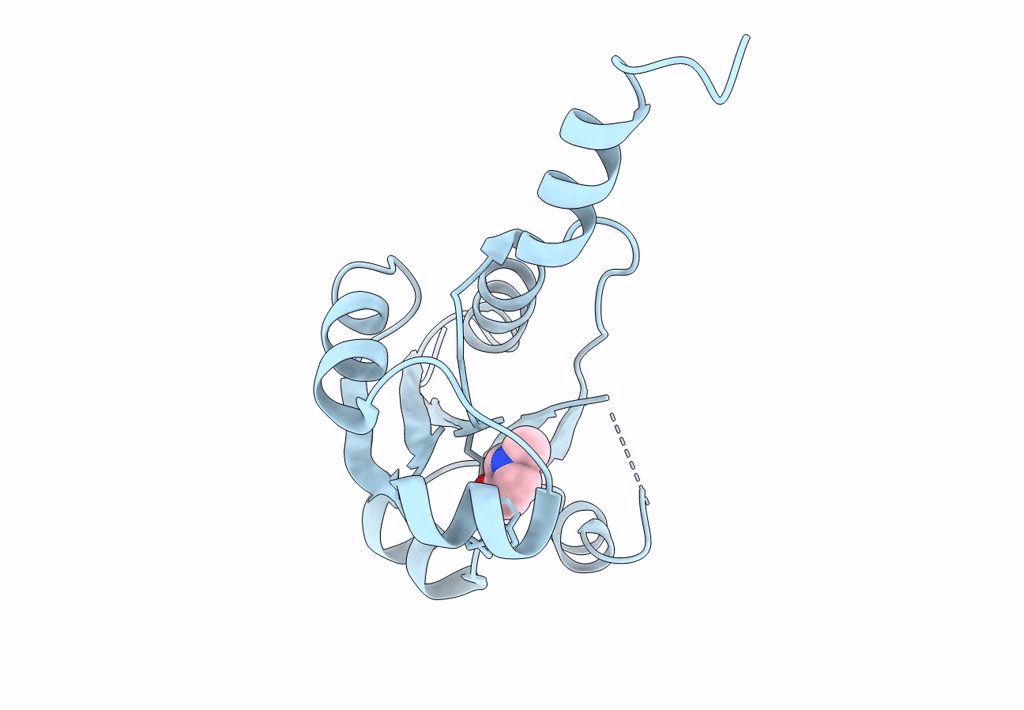 7Q2V image