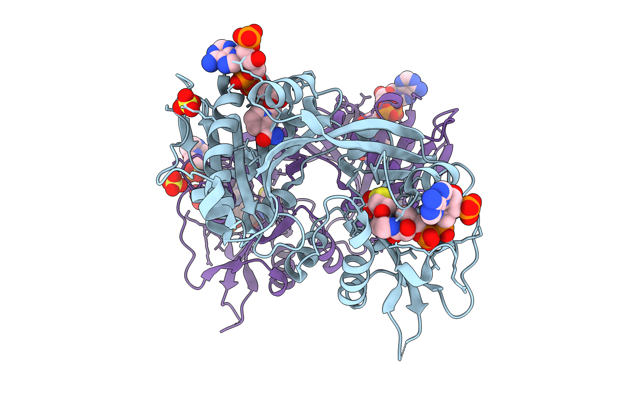 7Q3A image