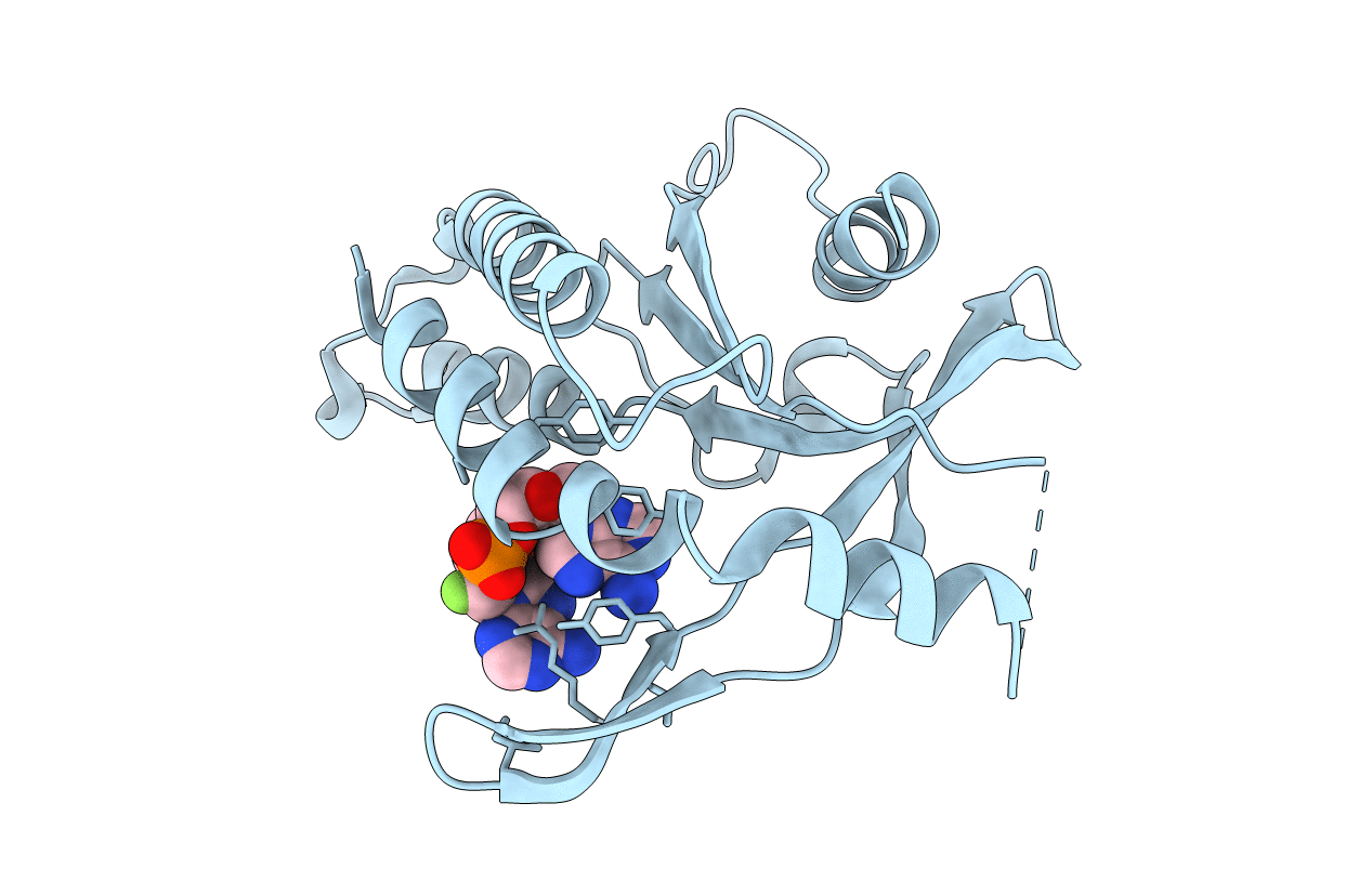 7Q3B image