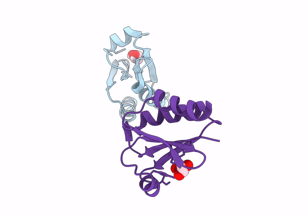 7Q3J image