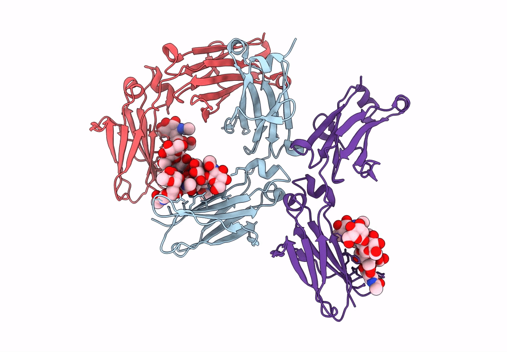 7Q3P image