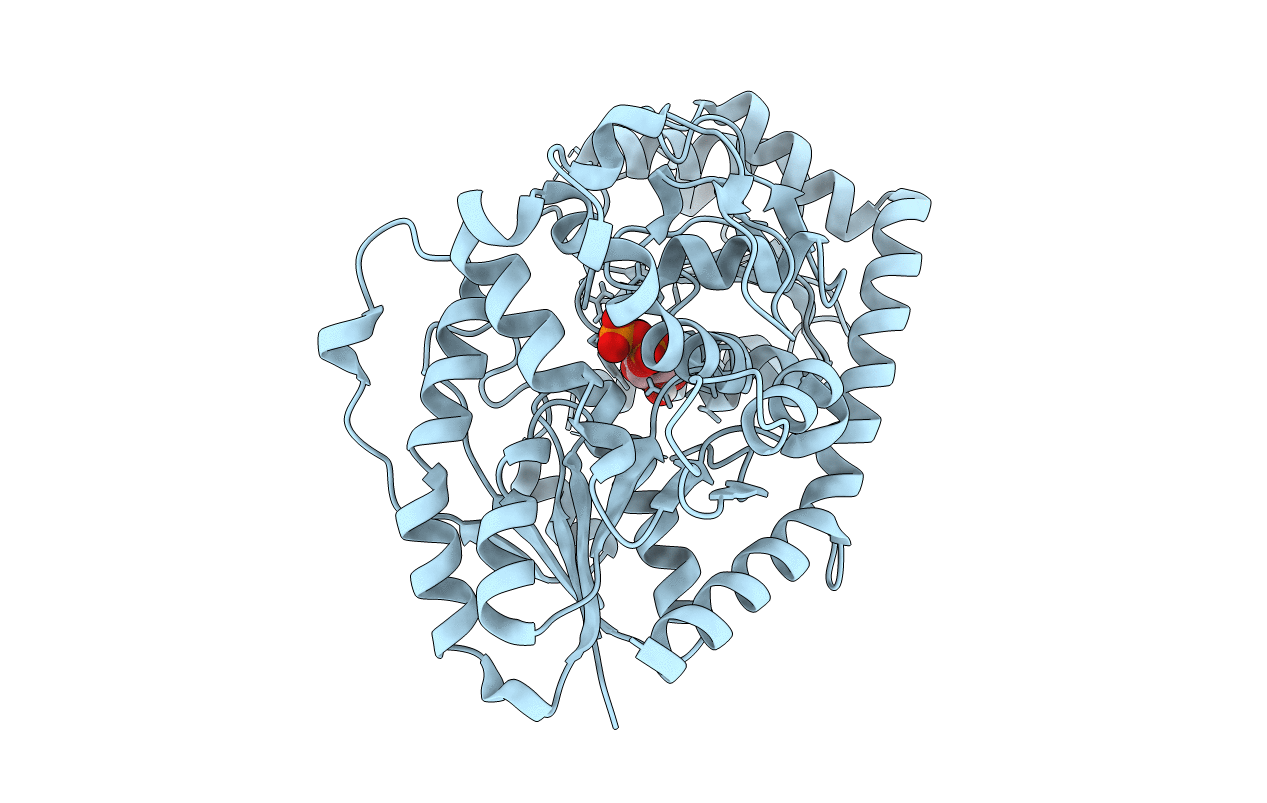 7Q3S image