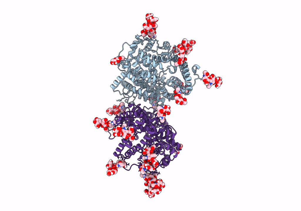 7Q4D image