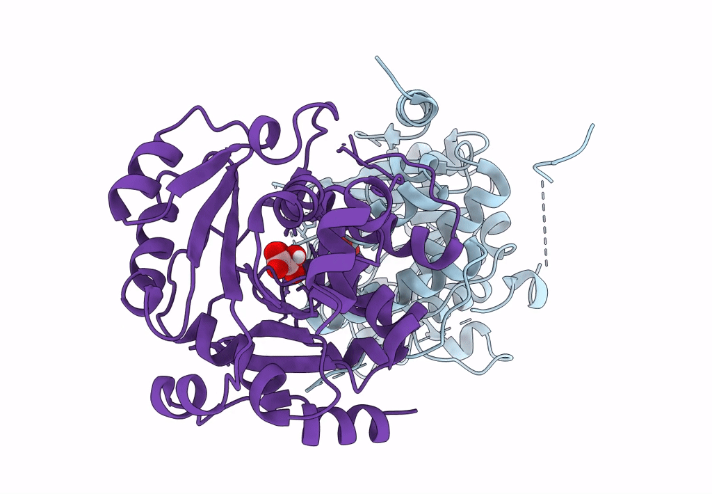 7QCP image