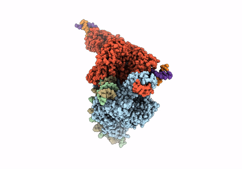 7QD4 image