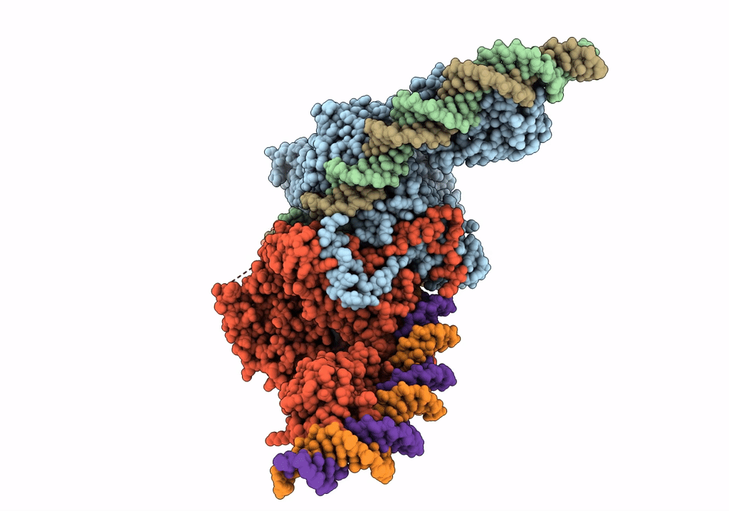 7QD5 image