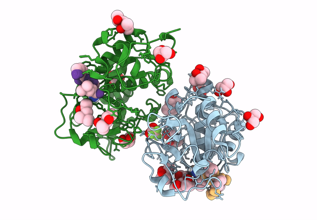 7QFH image