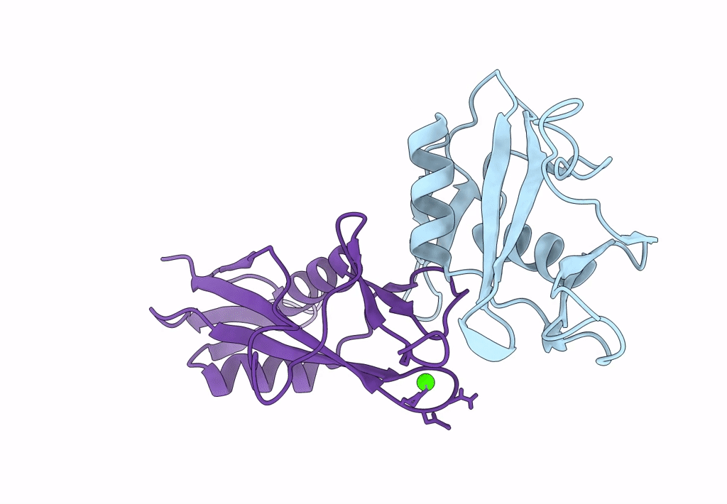 7QFI image