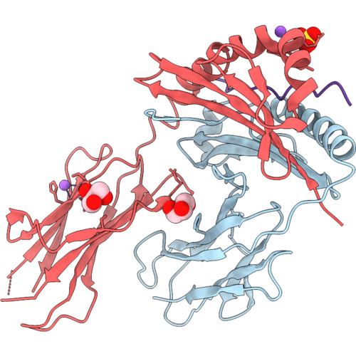 7QHP image