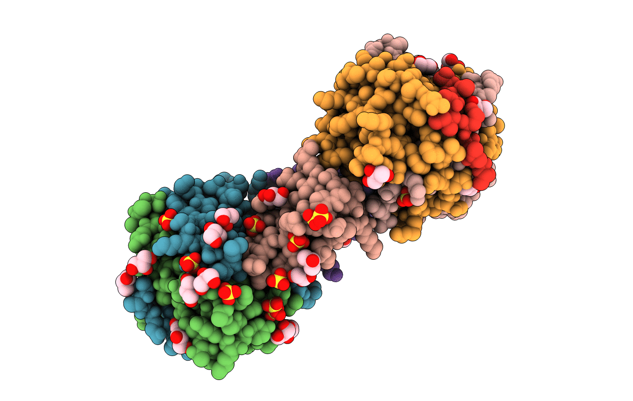 7QIQ image