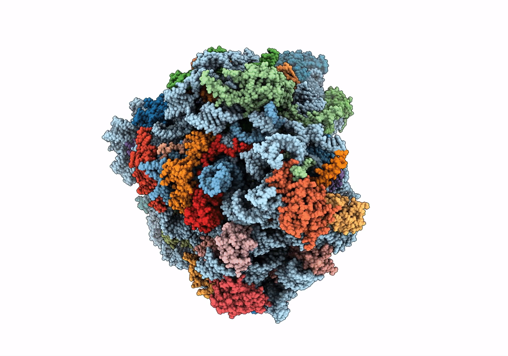 7QIW image