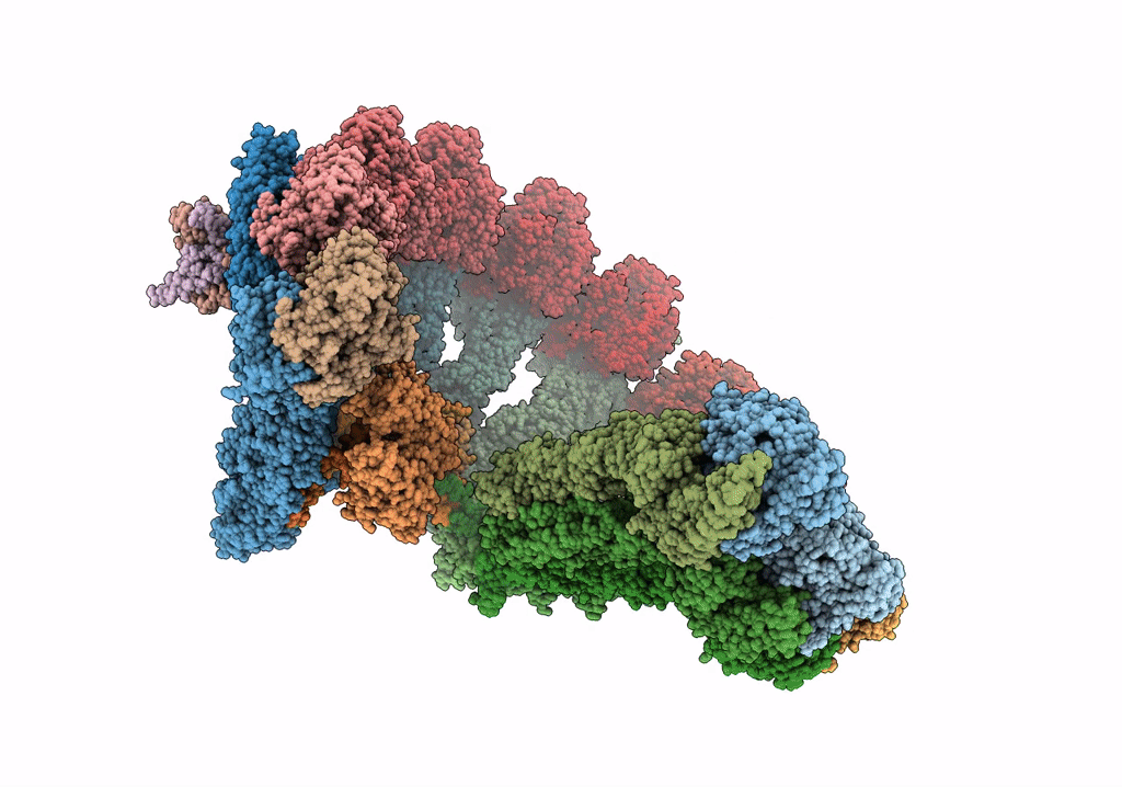 7QJB image