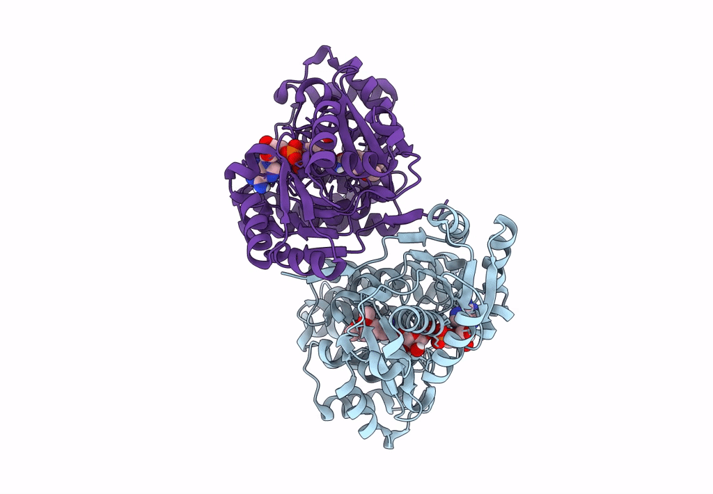 7QLS image