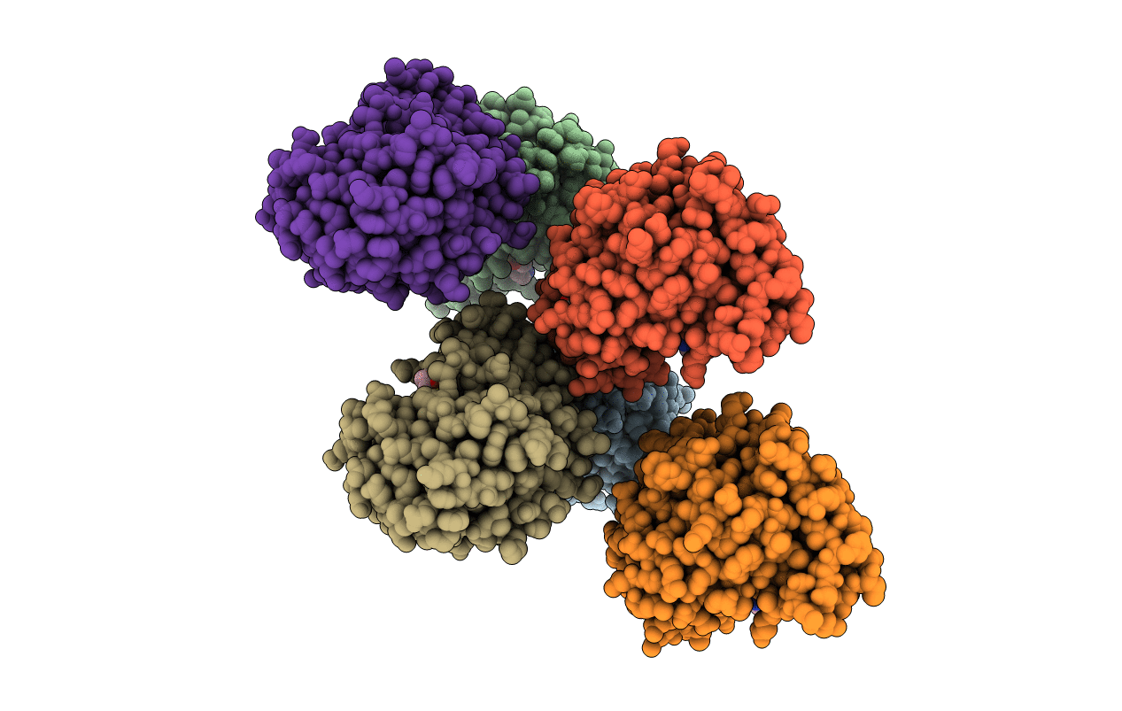 7QNK image