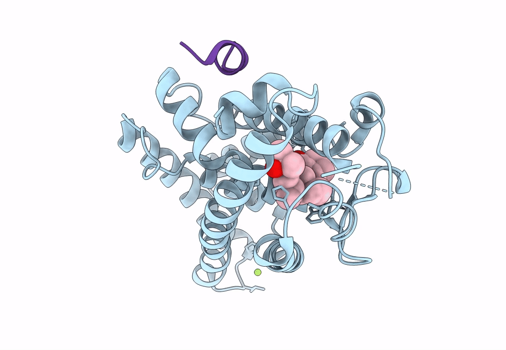 7QPI image