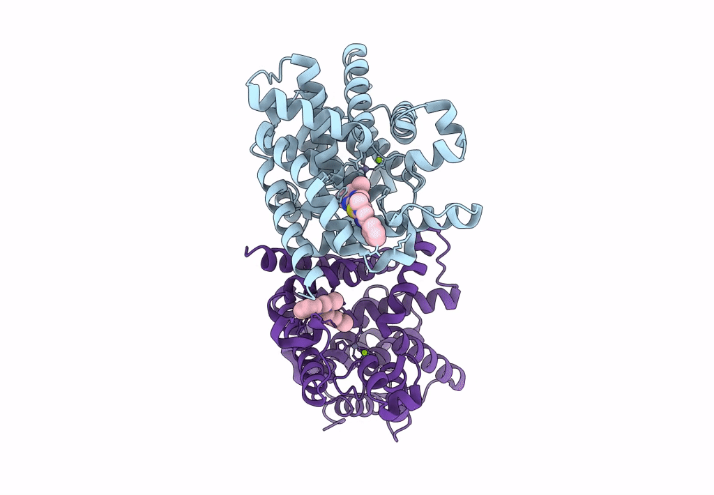 7QPM image
